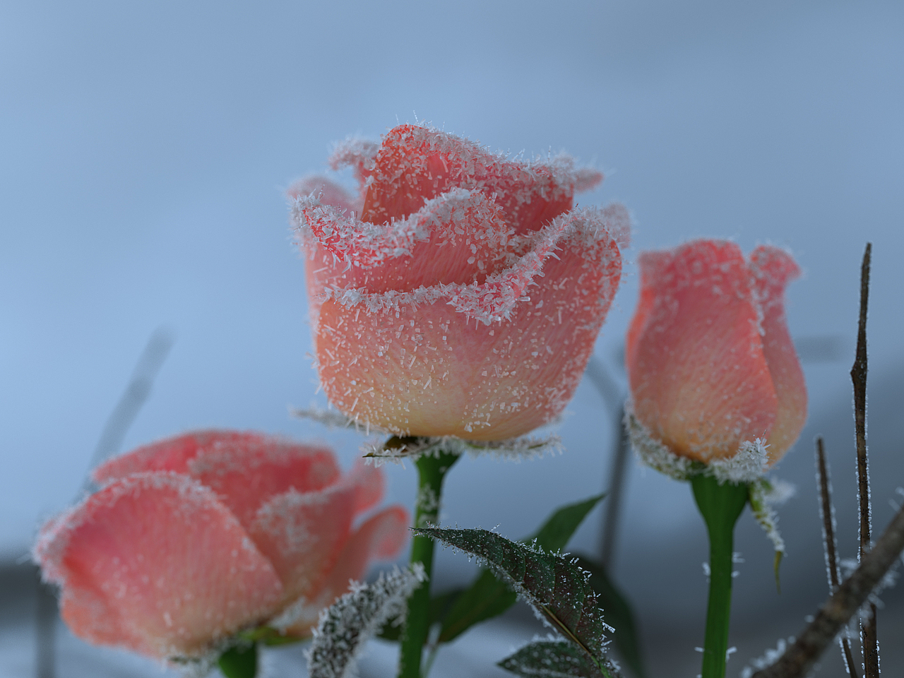 C4D渲染原创自然场景（图ZMzMyMDIzMzIw） - 场景 - 站酷设计师林大蛋原创素材 - 站酷ZCOOL