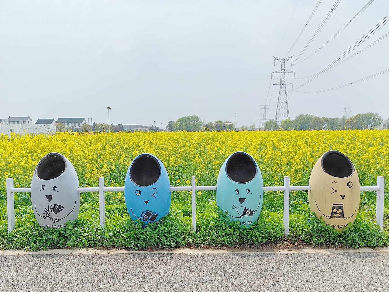 记录春天，捕捉春天——油菜花