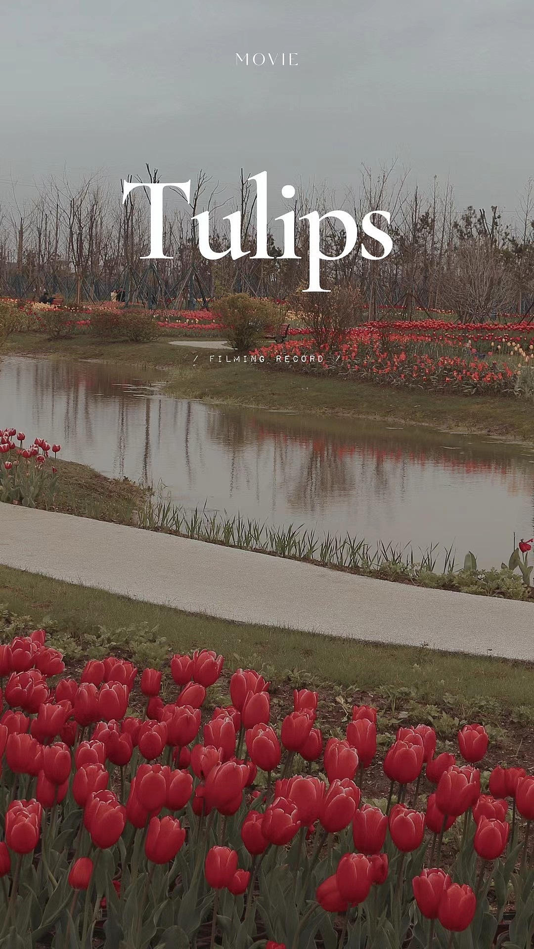 回村的浪漫（图ZMzU4NzkzNTEy） - 环境/建筑摄影 - 站酷设计师一具设计尸Jane原创素材 - 站酷ZCOOL