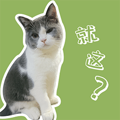 叮当的单身生活