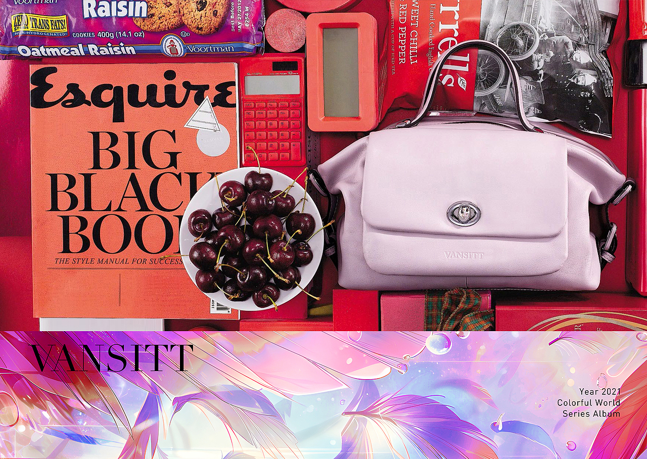 VANSITT-2021年度炫彩世界品牌画册