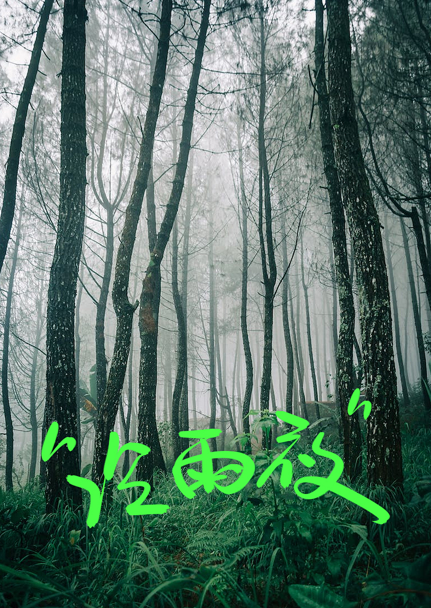 坚持每天听完一个人的歌「今天要听的歌手是-黄家驹」