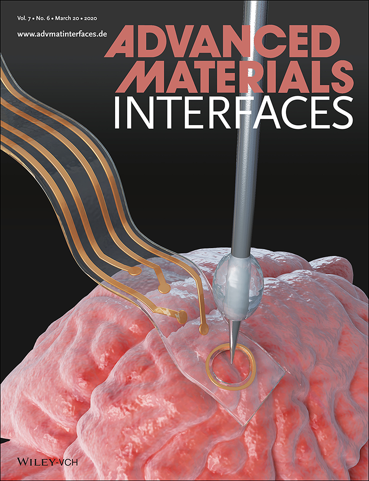 科研画图 学术期刊封面作品