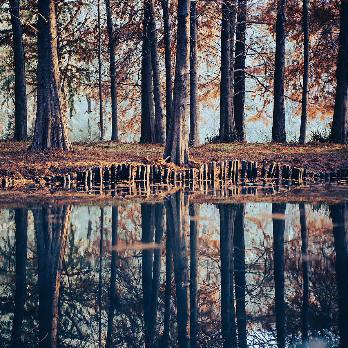 凛冬将至（图ZMzIzODcxNzUy） - 风光摄影 - 站酷设计师oneQ原创素材 - 站酷ZCOOL