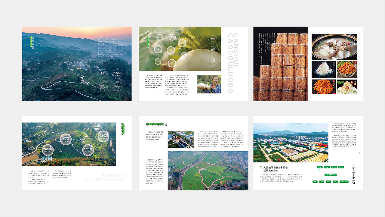 綦江赶水萝卜品牌全案策划