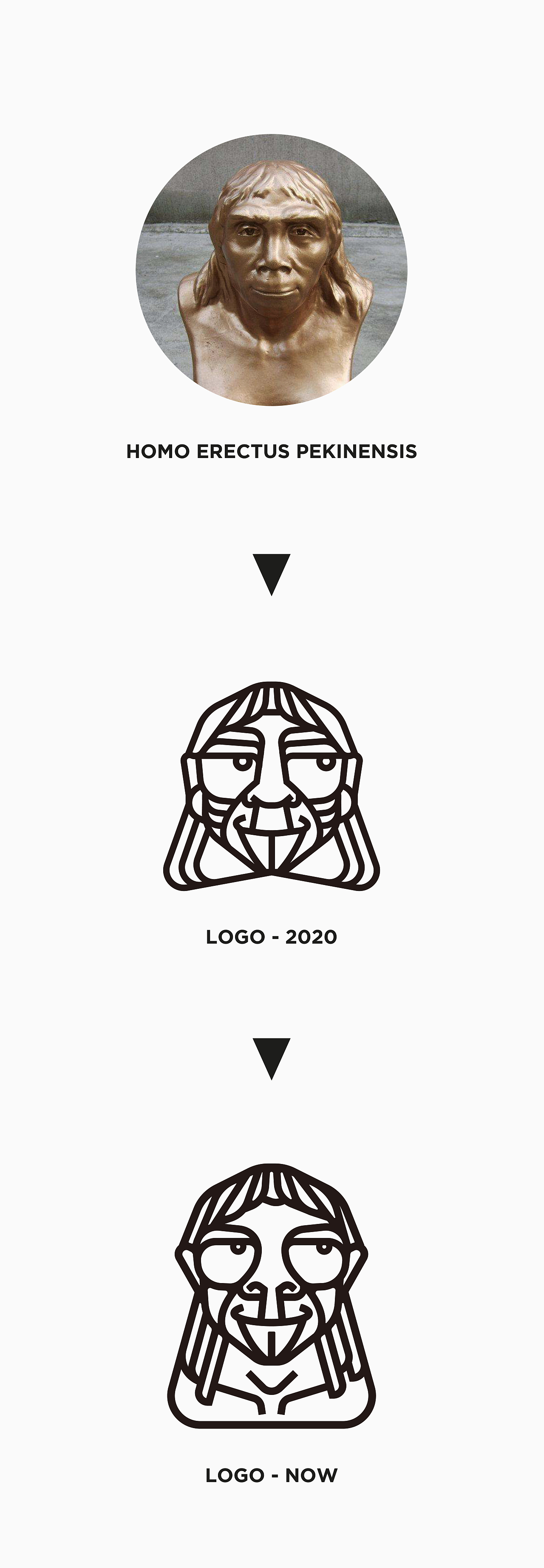 AHA DESIGN品牌形象设计（图ZMzA1OTU1Mzky） - 品牌 - 站酷设计师DesignerLiz原创素材 - 站酷ZCOOL