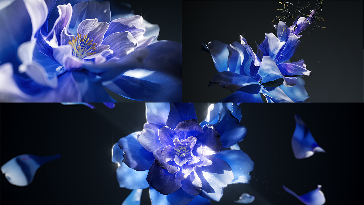 Song of the flowers 花/语（图ZMjk3MDk5NjY4） - 动画/影视 - 站酷设计师Clown一鸿原创素材 - 站酷ZCOOL