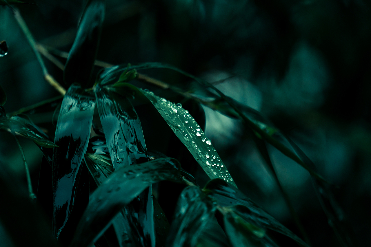 故乡的雨季（图ZMzA0NjY3MTky） - 风光摄影 - 站酷设计师一碗老酒原创素材 - 站酷ZCOOL