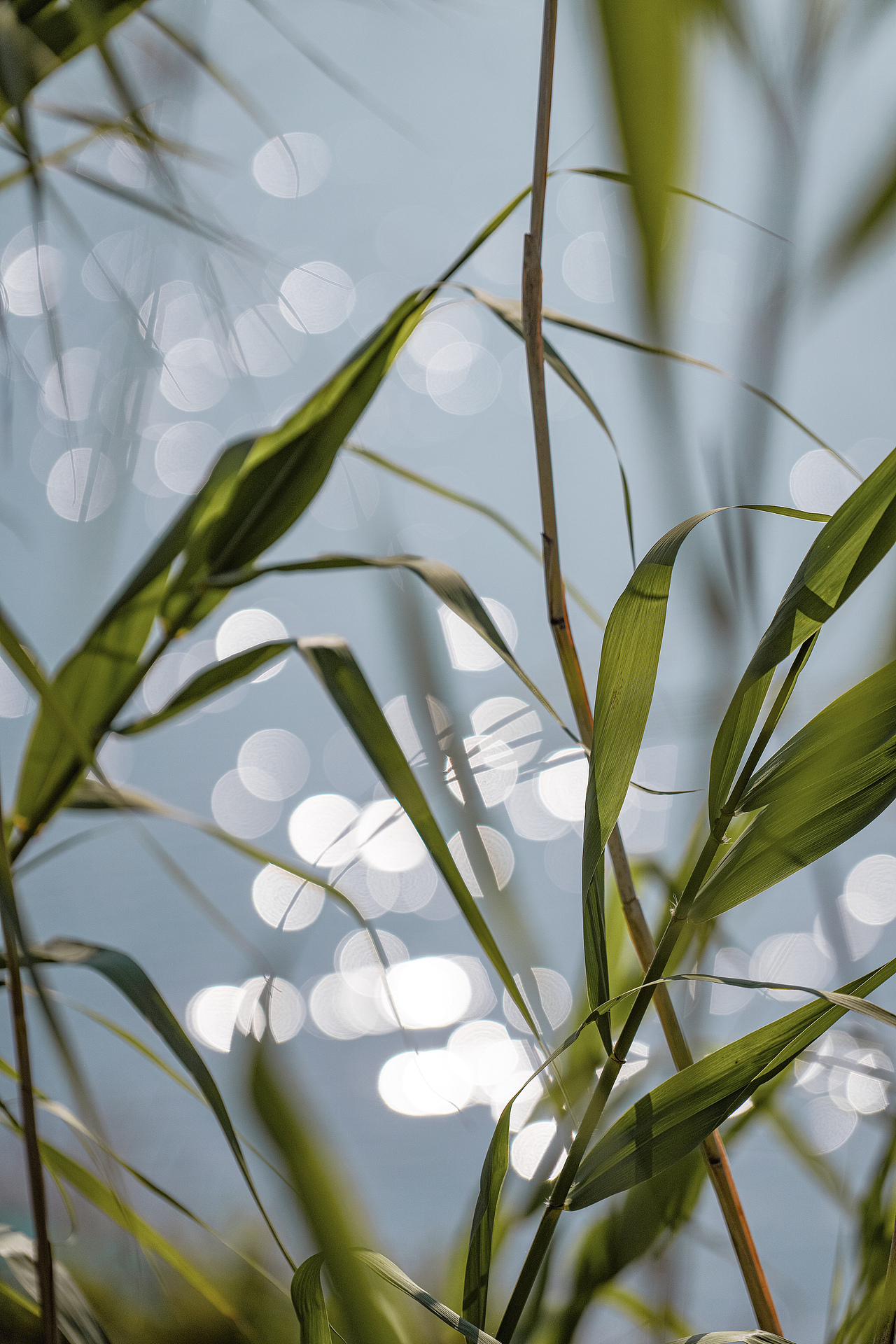 在田间,感受风的气息