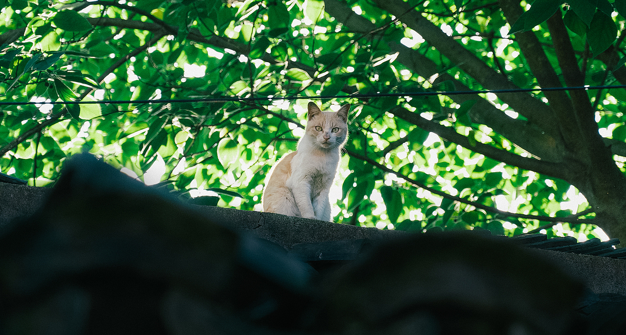 【午后摄影扫街】即将消失的老城区