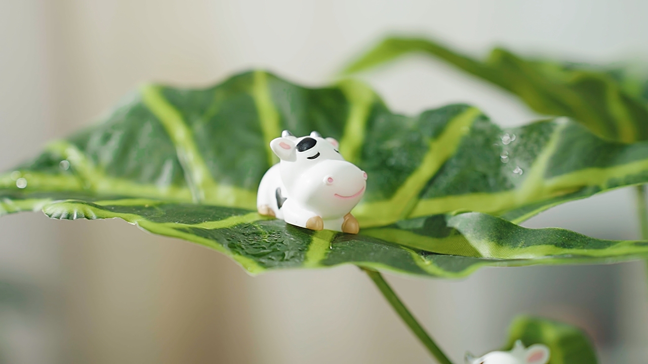 奶牛爱喝牛奶（图ZMzA5MzA4MzE2） - 短片 - 站酷设计师痞菜原创素材 - 站酷ZCOOL