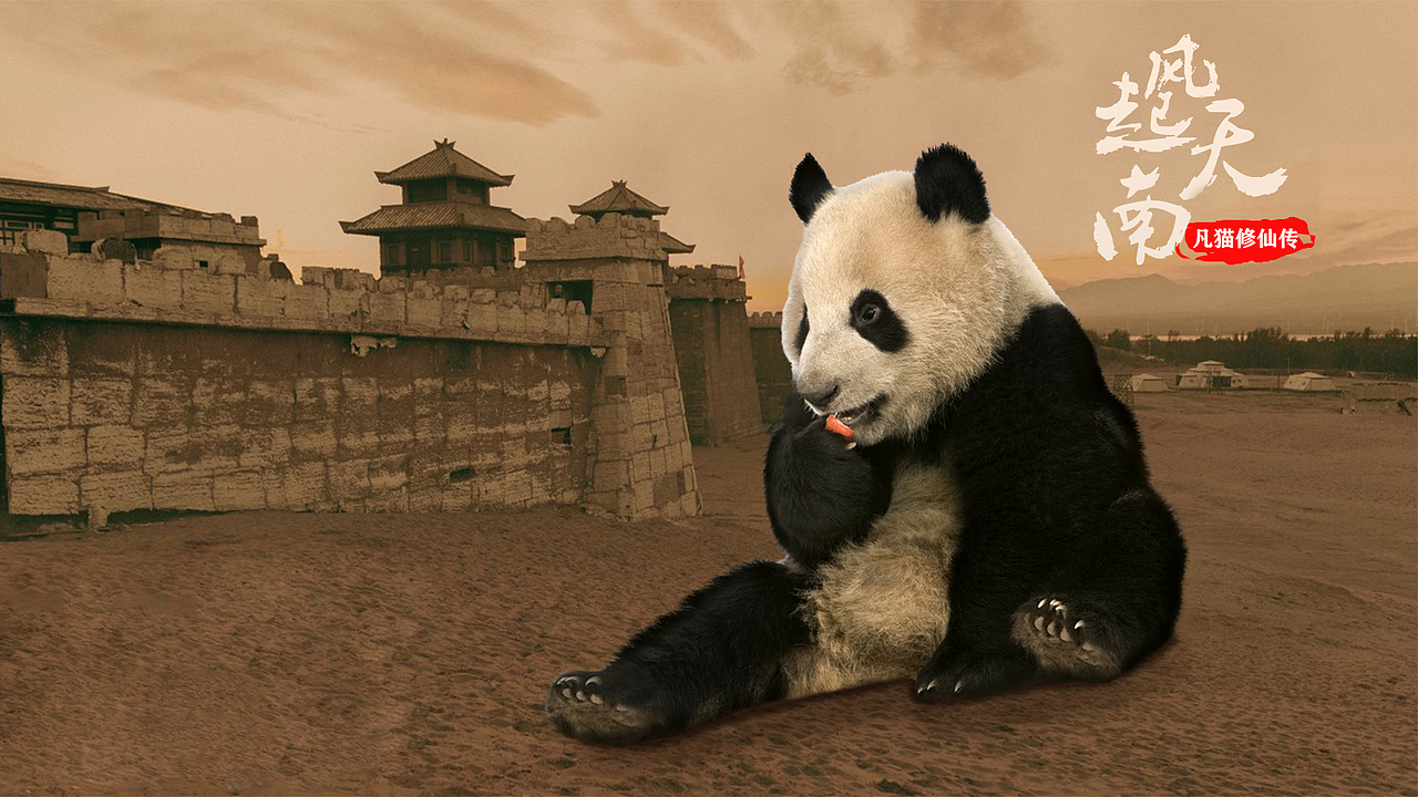 风起天南-熊猫传