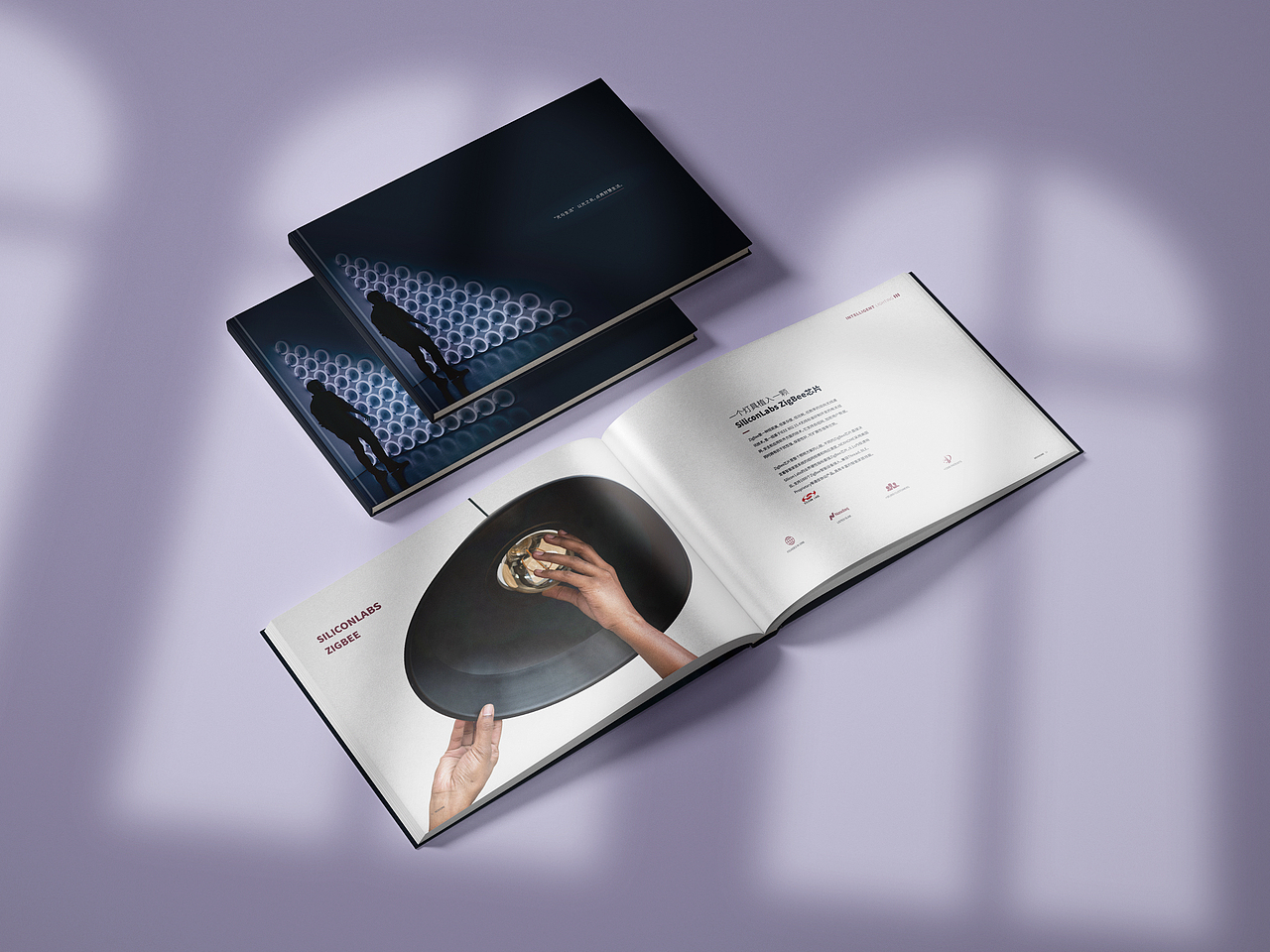 星网锐捷丨智能照明产品手册 科技画册设计