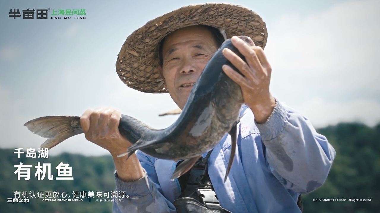 美食视频 | 上海半亩田 X SANDING（图ZMzQ5MjYxNjY4） - 短片 - 站酷设计师三鼎之力影视部原创素材 - 站酷ZCOOL