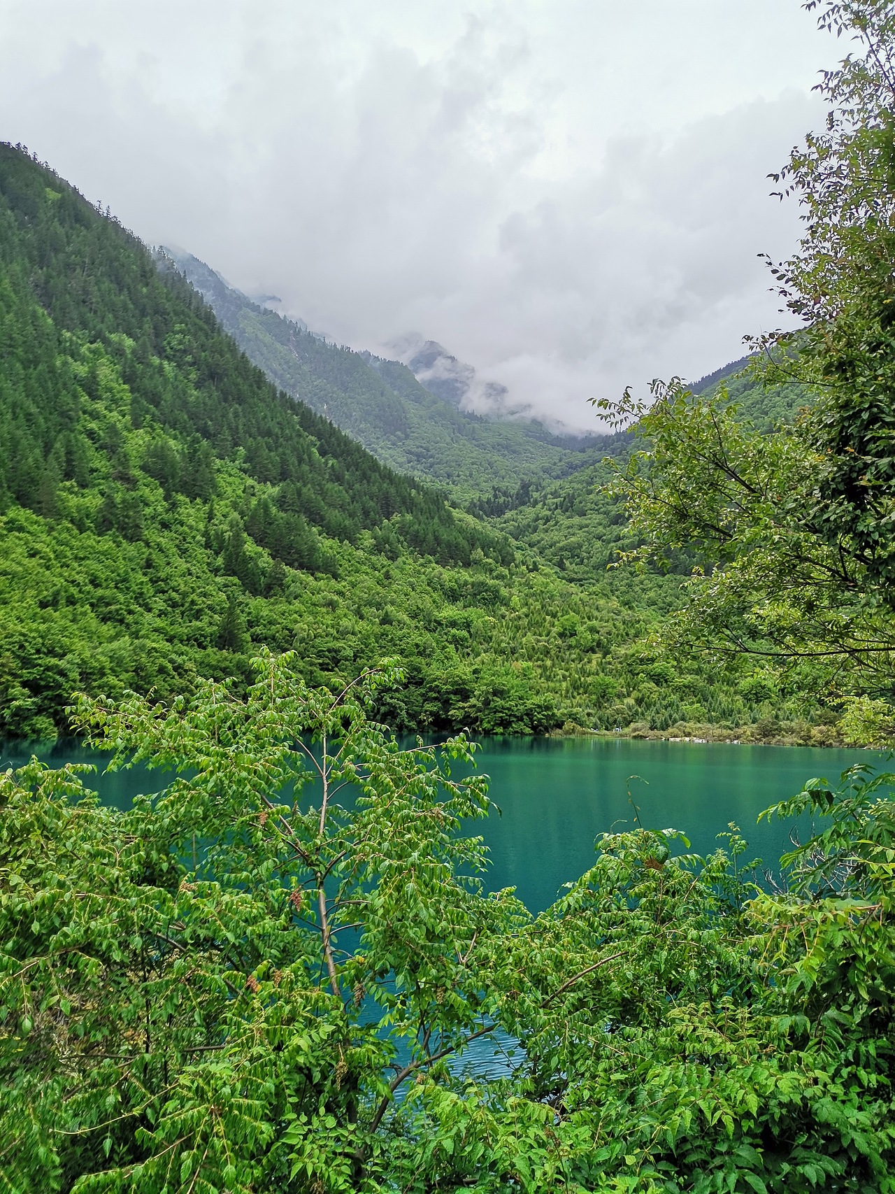 五彩缤纷九寨沟(下)