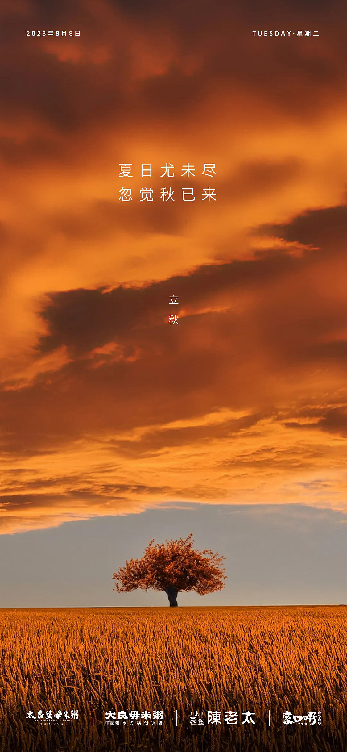 阶段性分享-立秋节气海报设计(2023.8.8)