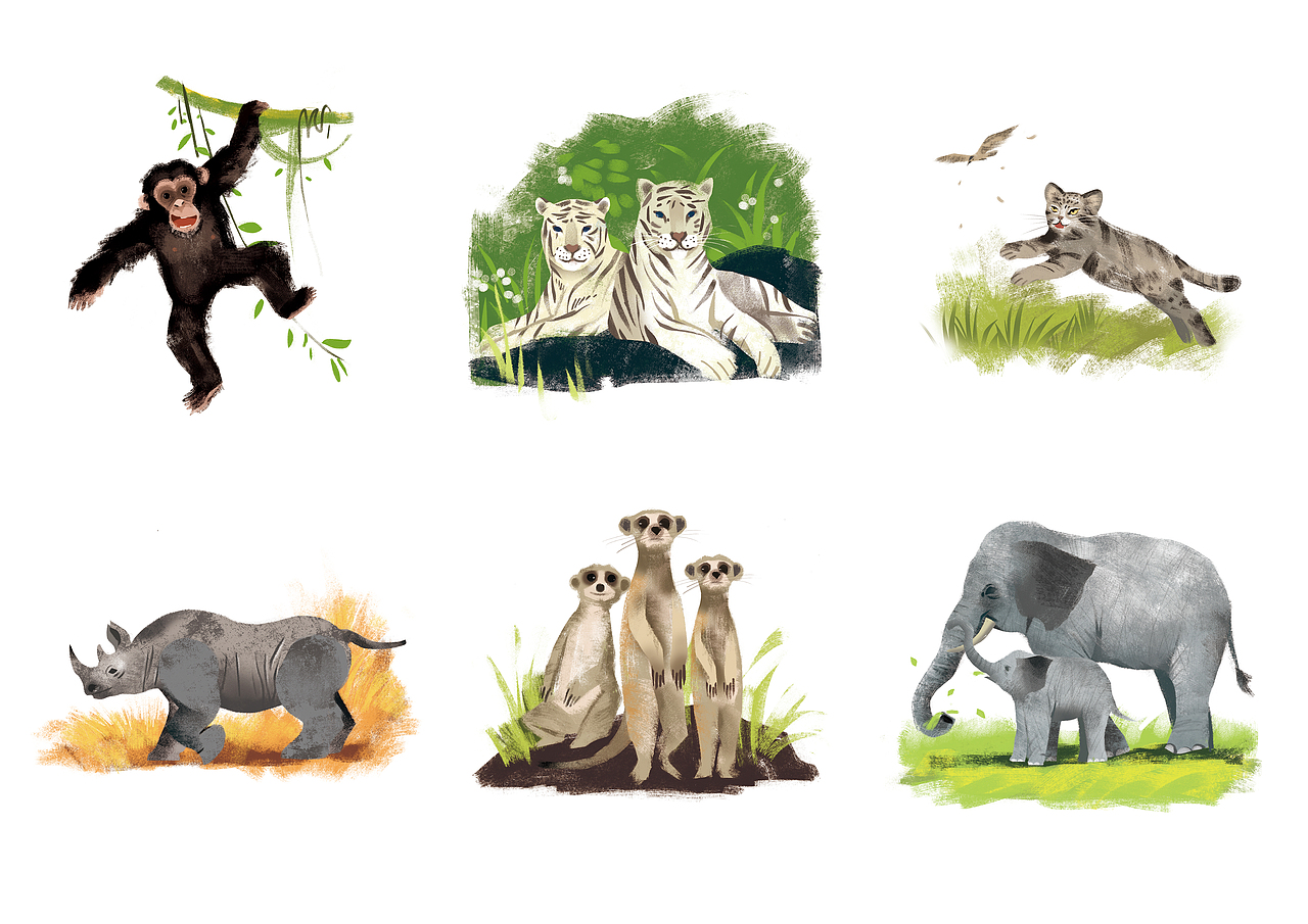 《黎明动物园》-插画