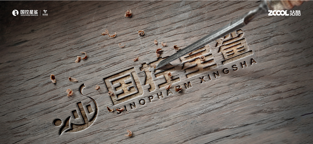 《国控星鲨品牌升级设计》