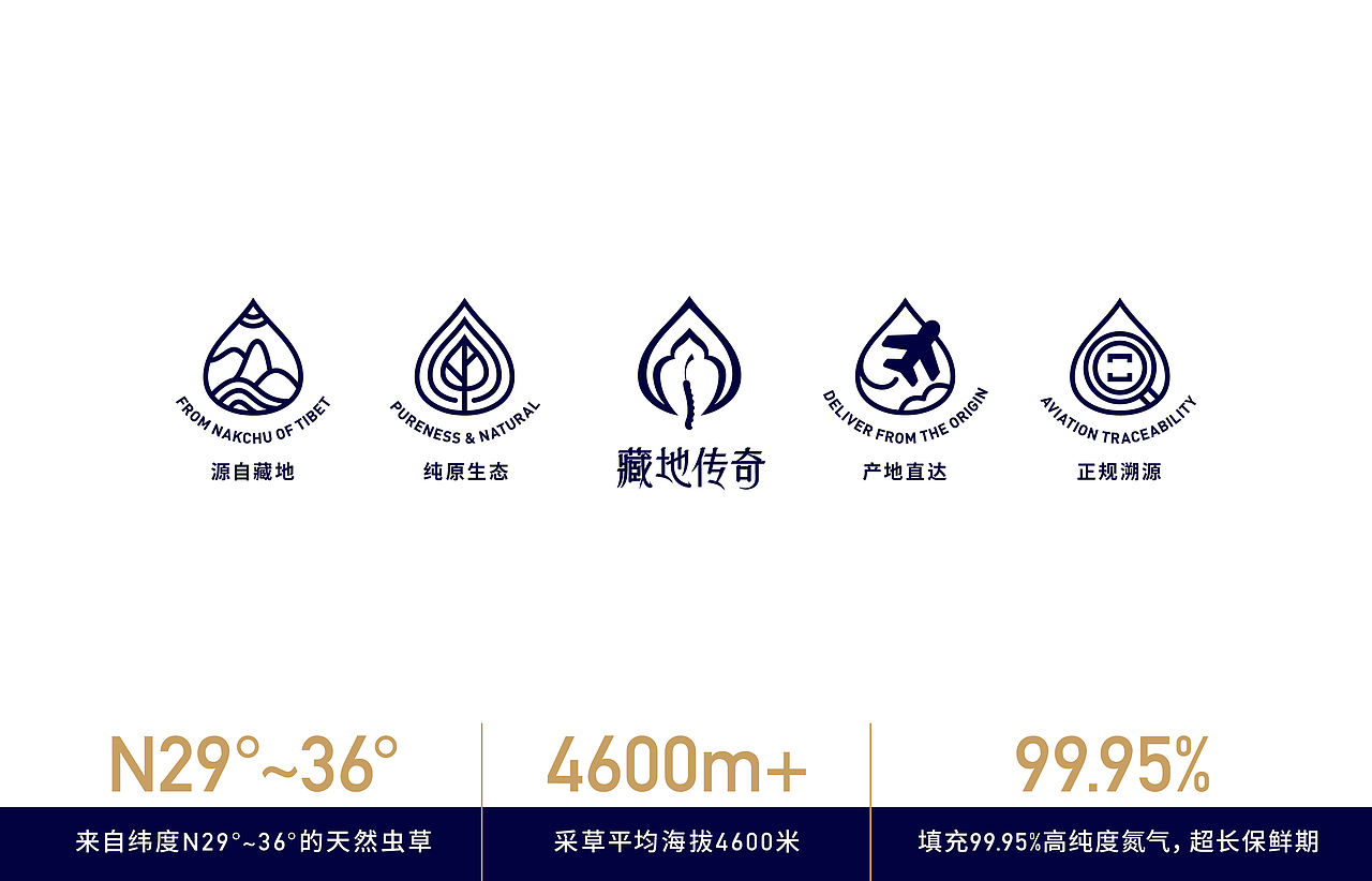 藏地传奇Tibet Cordyceps - 虫草品牌VI设计&包装设计（图ZMzI4MDE3NTgw） - 包装 - 站酷设计师亿电设eDeSIGN原创素材 - 站酷ZCOOL