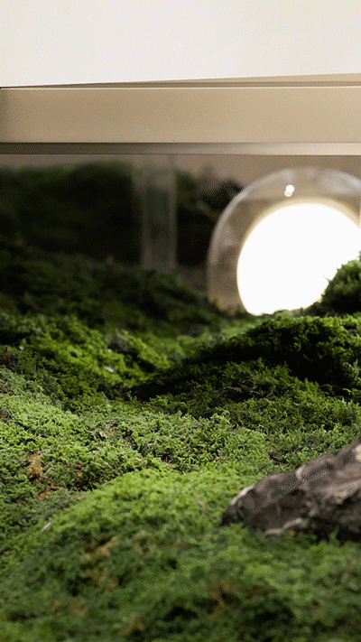 走入澄明之地,感知物外之境。