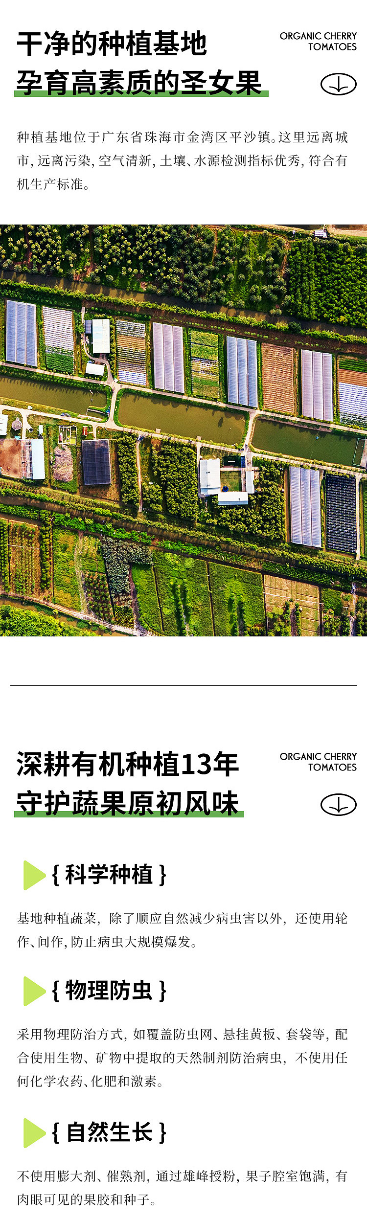 小番茄详情页案例分享