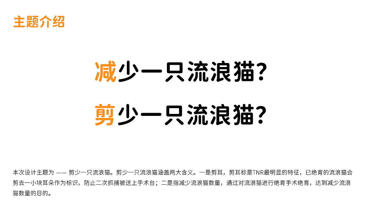 剪少一只流浪猫 | 公益项目
