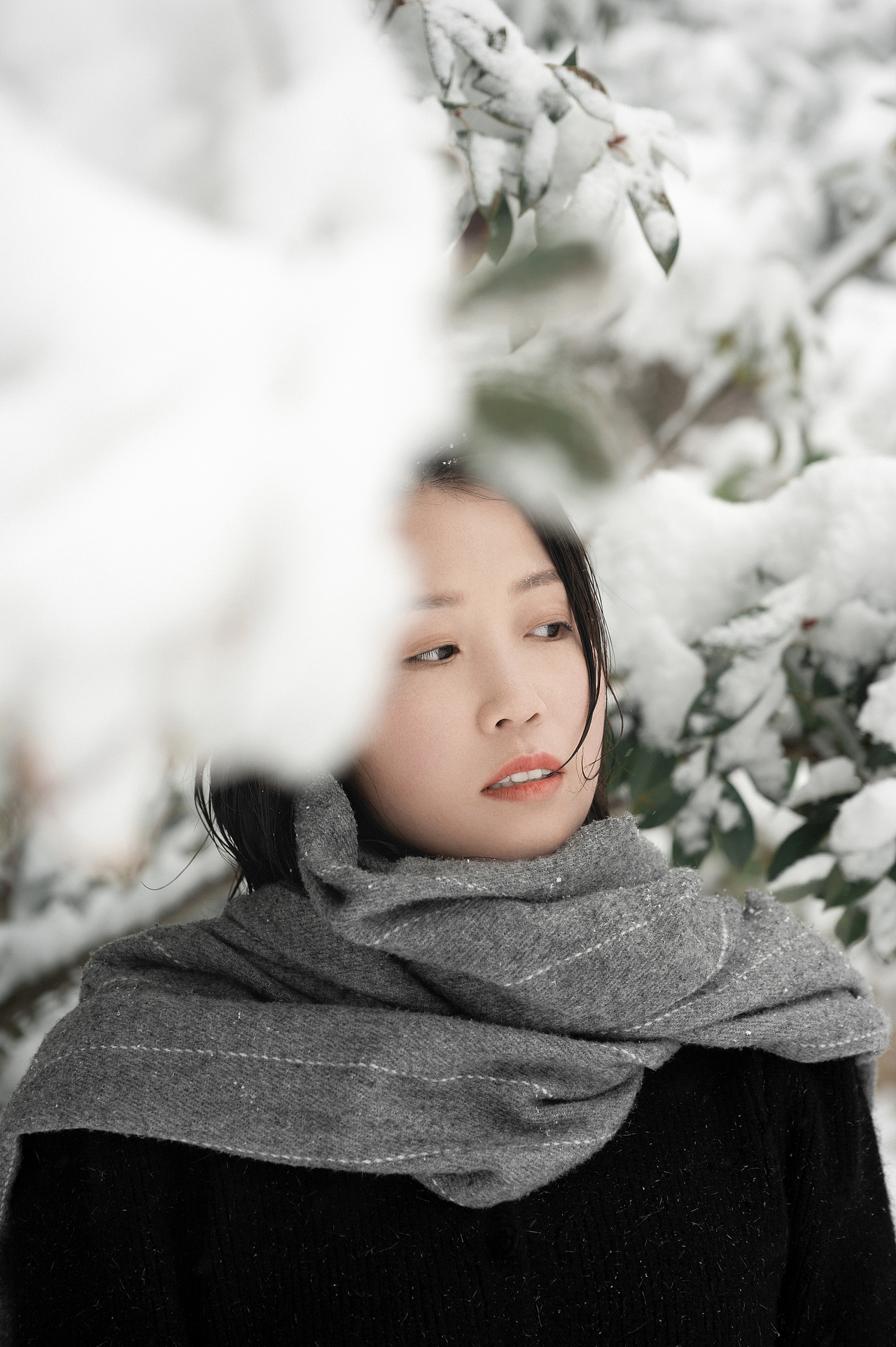 下雪了，拍照吧。