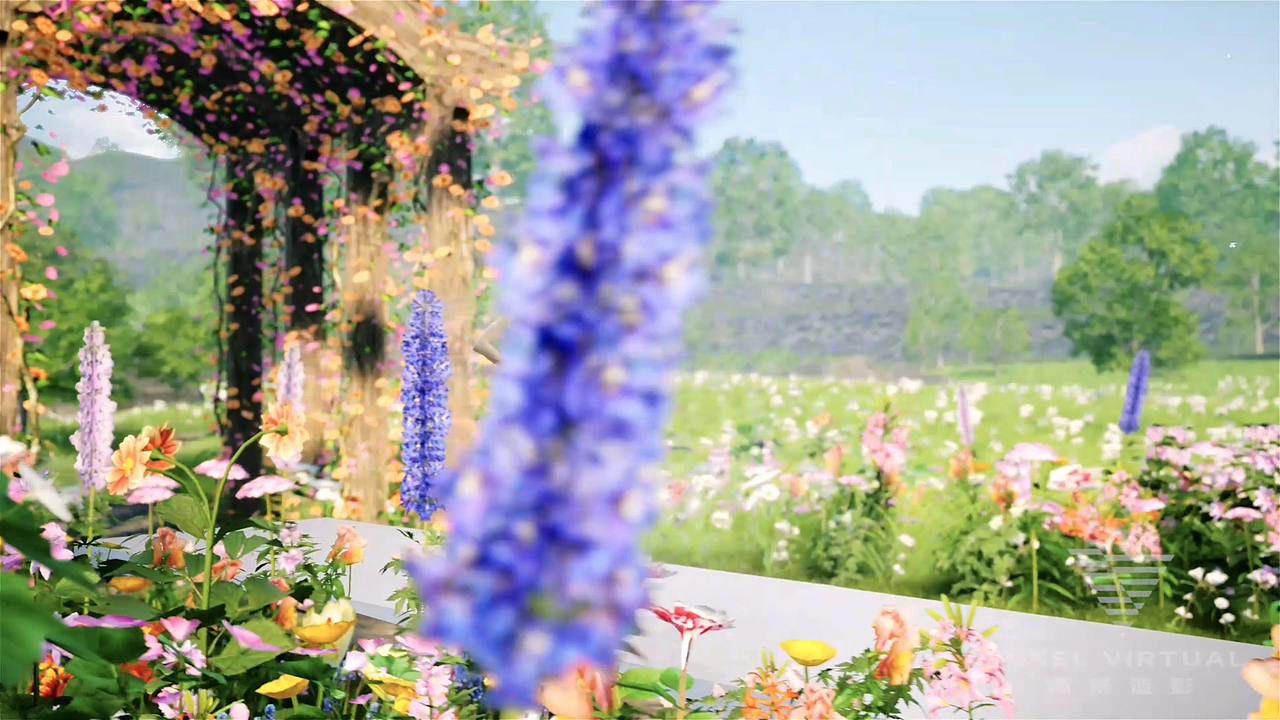 绿幕下的云上时装周是怎么诞生的 ?#云上服装秀#走秀