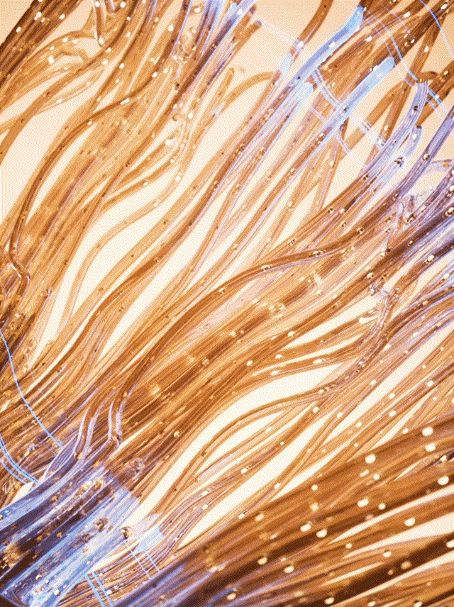 美容仪动画视频