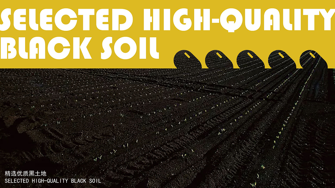 2023个人作品集（图ZMzY4NTkwMzQ0） - 品牌 - 站酷设计师INBOART原创素材 - 站酷ZCOOL