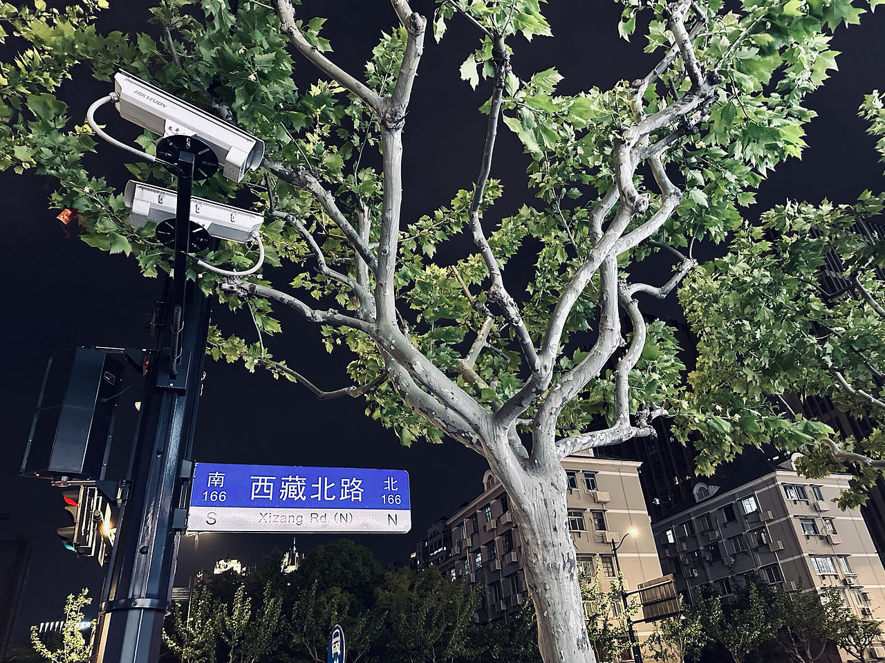 #唤醒相册 激活镜头里的多巴胺 青岛上海随拍（图ZMzUyMDYyMjY4） - 风光摄影 - 站酷设计师默子MOZI原创素材 - 站酷ZCOOL