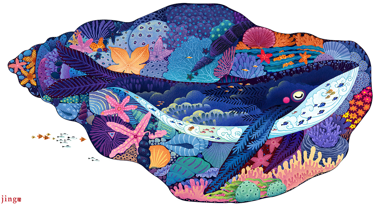 海螺鲸鱼儿童益智拼图产品插画