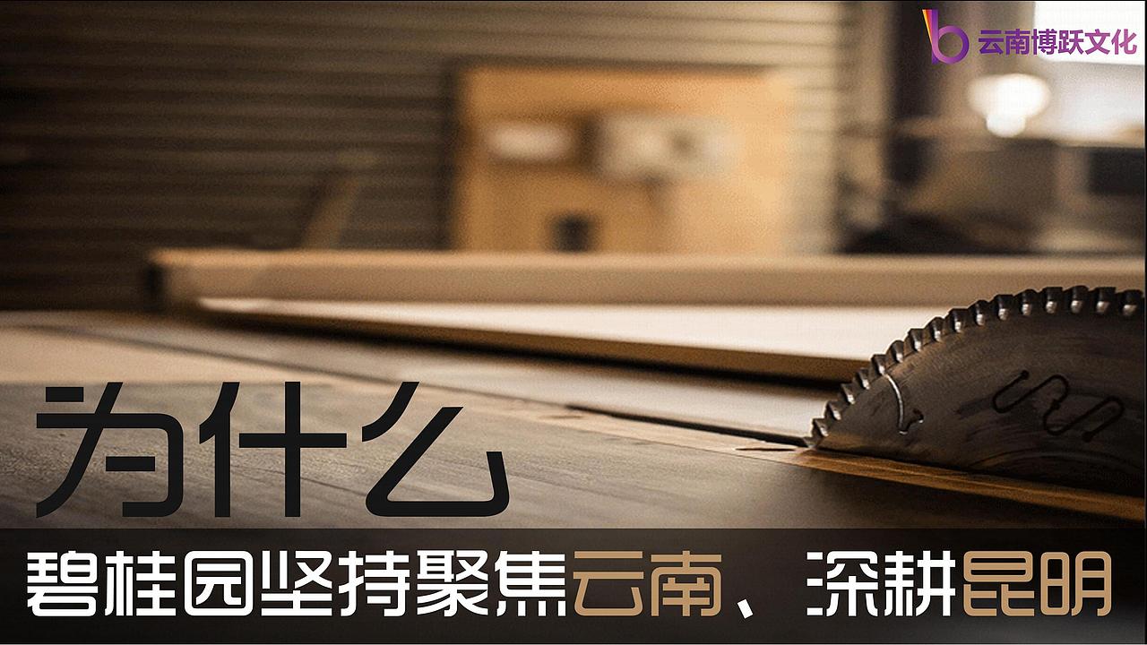 碧桂园·云南映象发布会外场布置及活动舞美效果图