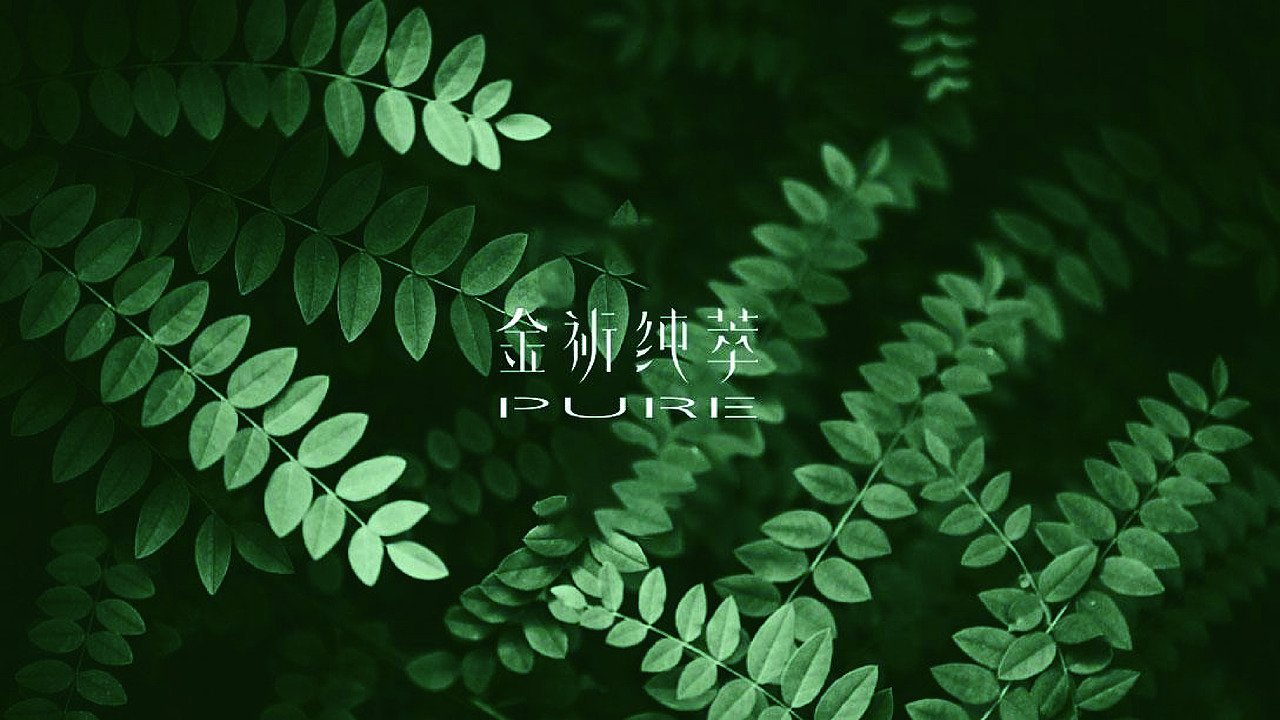 金析集团新产品金析纯粹新品牌logo设计（图ZMzY5MDg4Njky） - Logo - 站酷设计师长弓文化原创素材 - 站酷ZCOOL