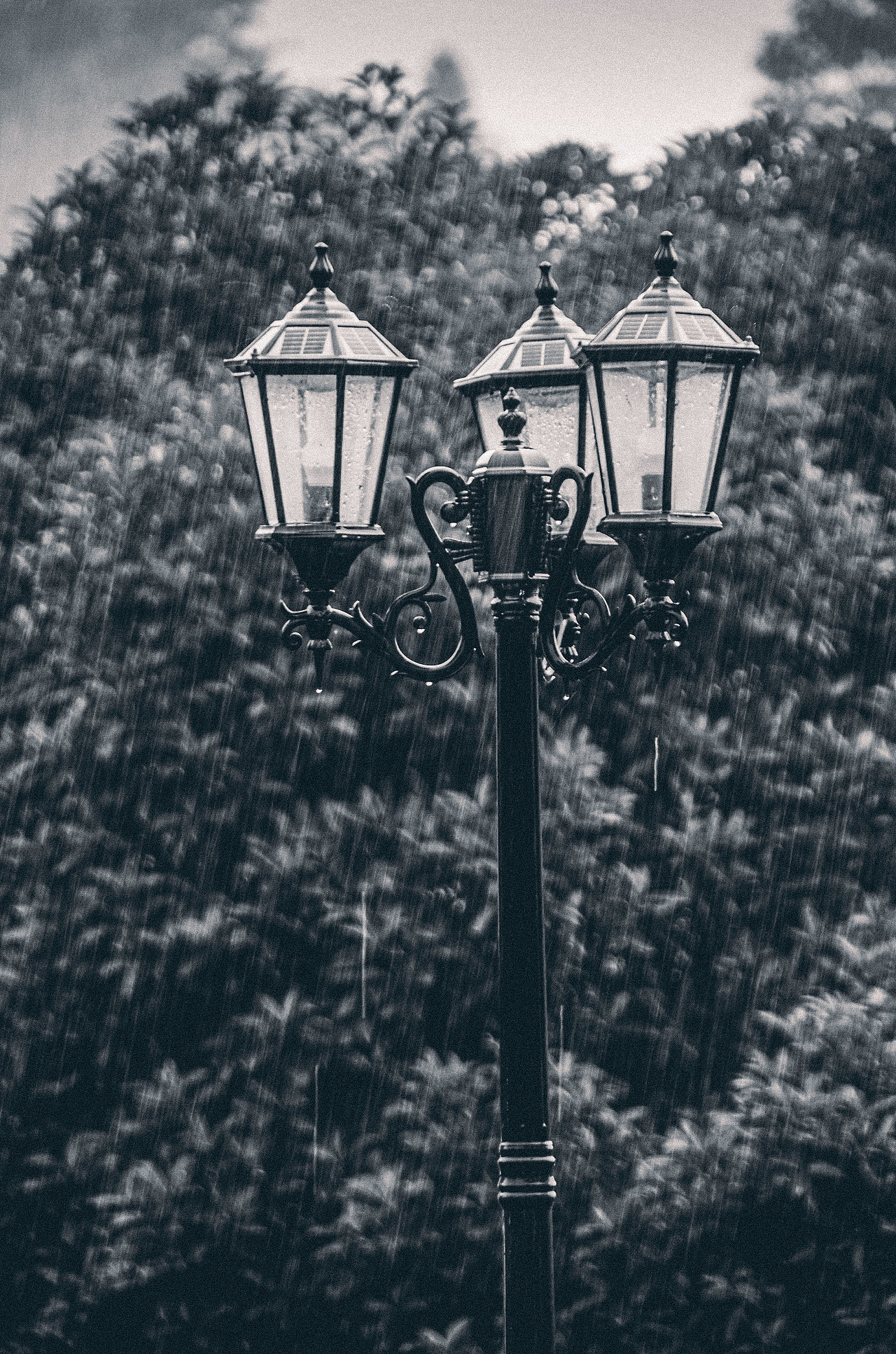 风光摄影学习（图ZMzU3MjEwMTgw） - 风光摄影 - 站酷设计师vipmlc97原创素材 - 站酷ZCOOL