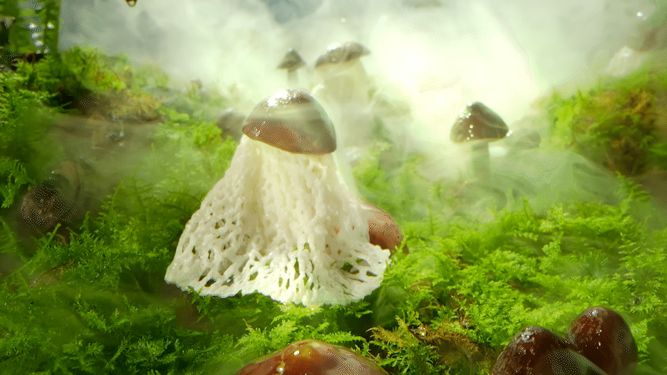 椰子鸡视频 | 银谷瑶椰子鸡 X 口水视觉(图ZMzA0ODIxNjYw) - 美食摄影 - 站酷设计师口水视觉原创素材 - 站酷ZCOOL