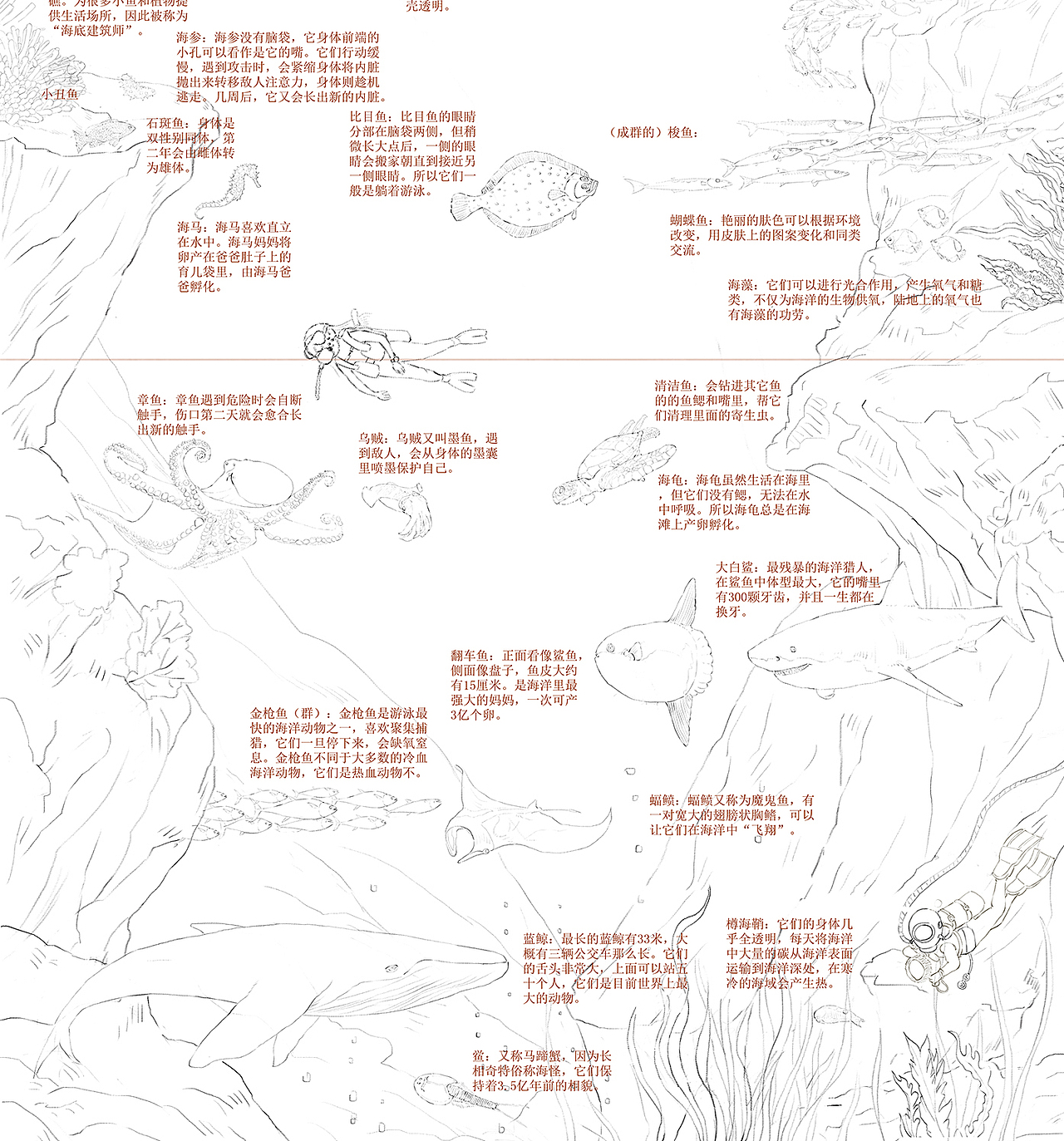 科普海洋地理太空绘本（图ZMzIwODcwMTY4） - 绘本 - 站酷设计师果冻文化工作室原创素材 - 站酷ZCOOL