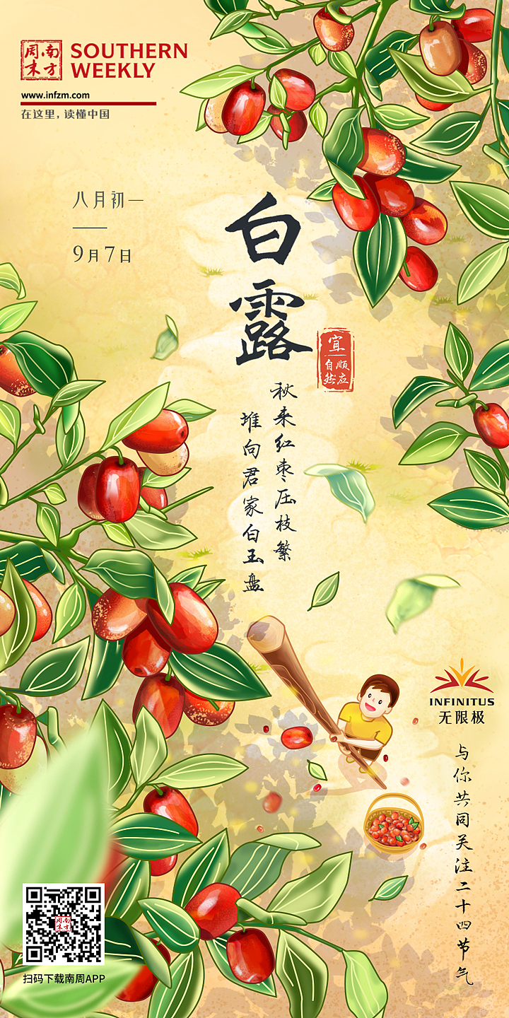 白露 手绘 节气海报 24节气 枣子 红枣