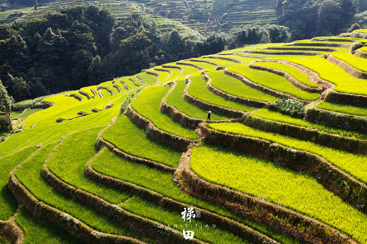 很多人来云南都是昆大丽,却很少人知道红河的哈尼梯田,很多人知道哈尼
