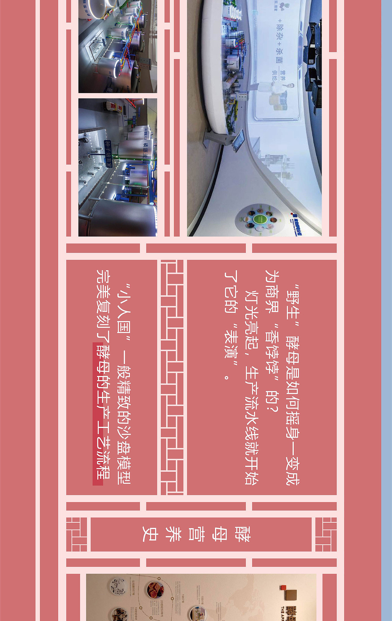 安琪酵母公众号推文合集（1）（图ZMjk4MDY0MjI4） - 宣传物料 - 站酷设计师一蝉营销原创素材 - 站酷ZCOOL