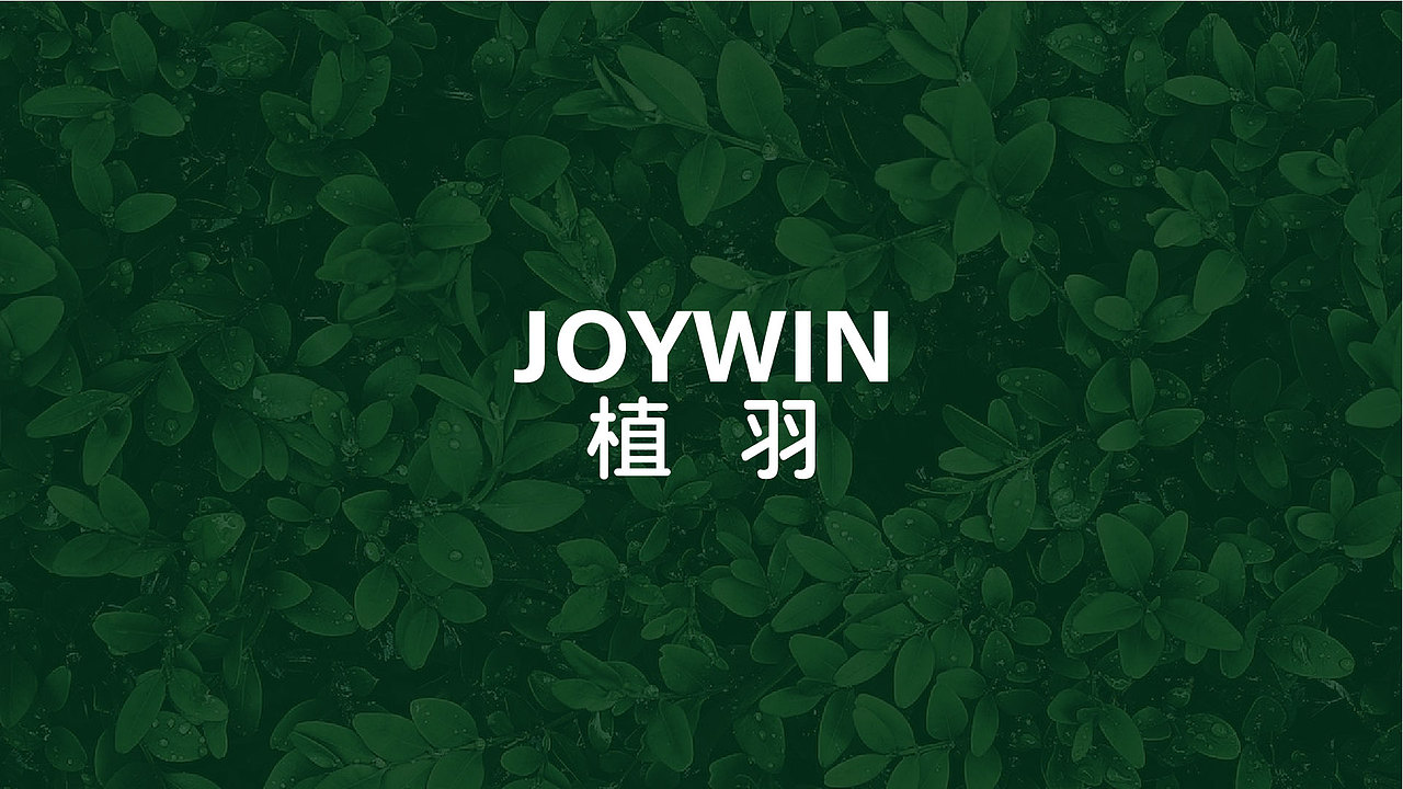 提案系列--logo提案