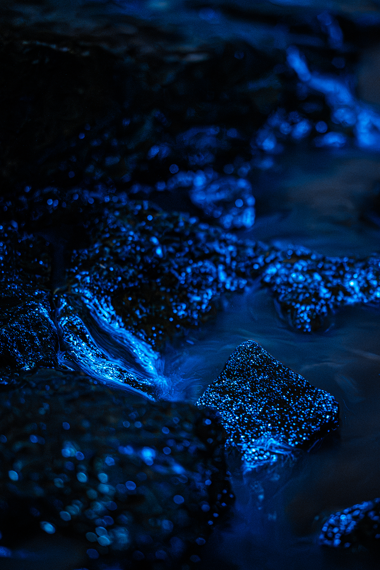 2024丨平潭蓝眼泪