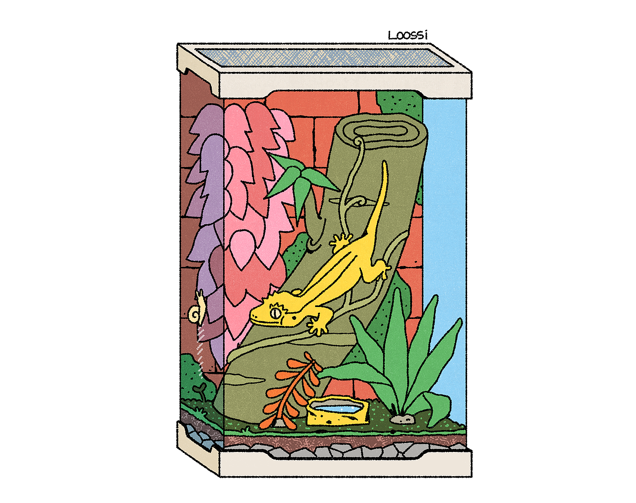 养一只爬行动物