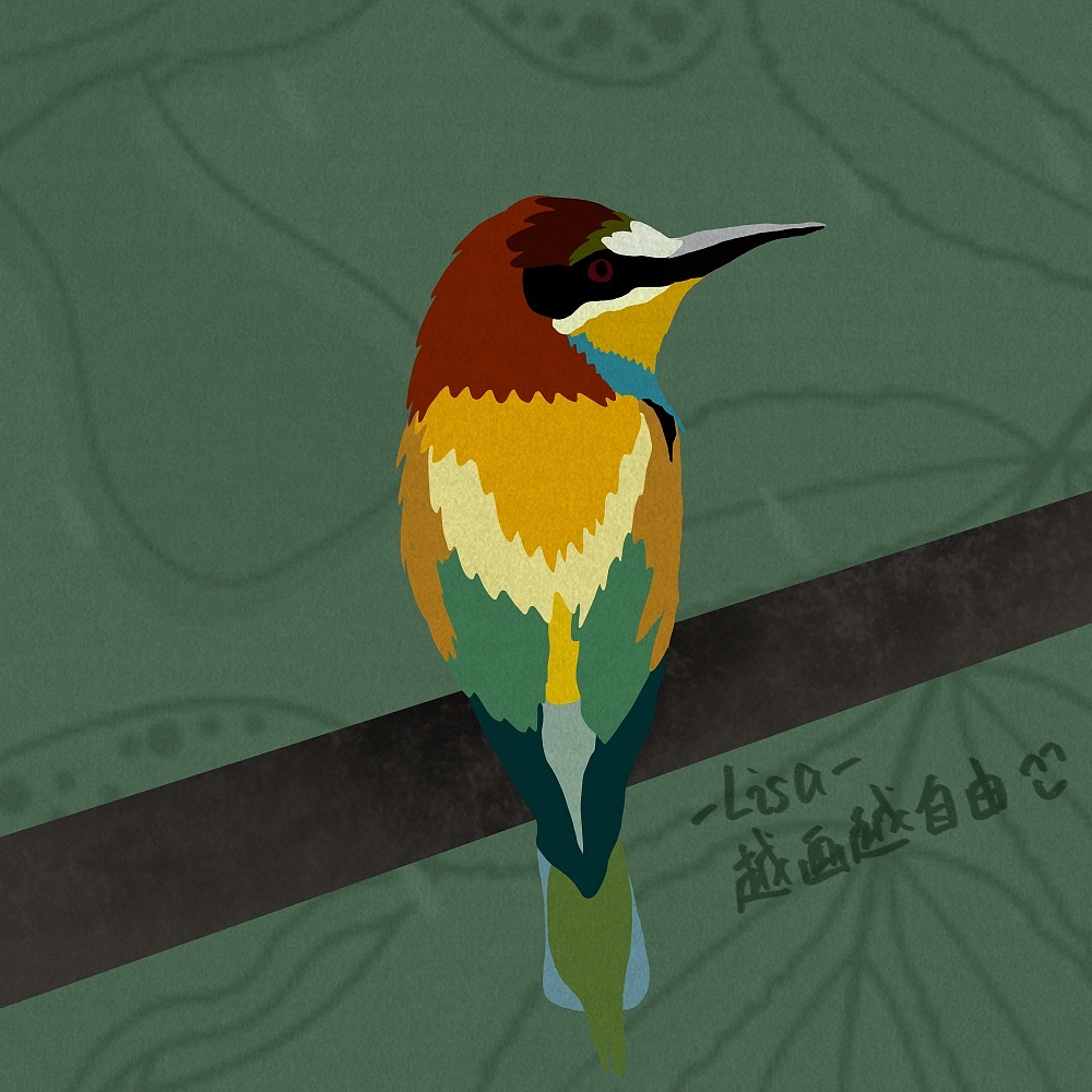 自由插画师可以为世界做些什么—81只鸟作品集