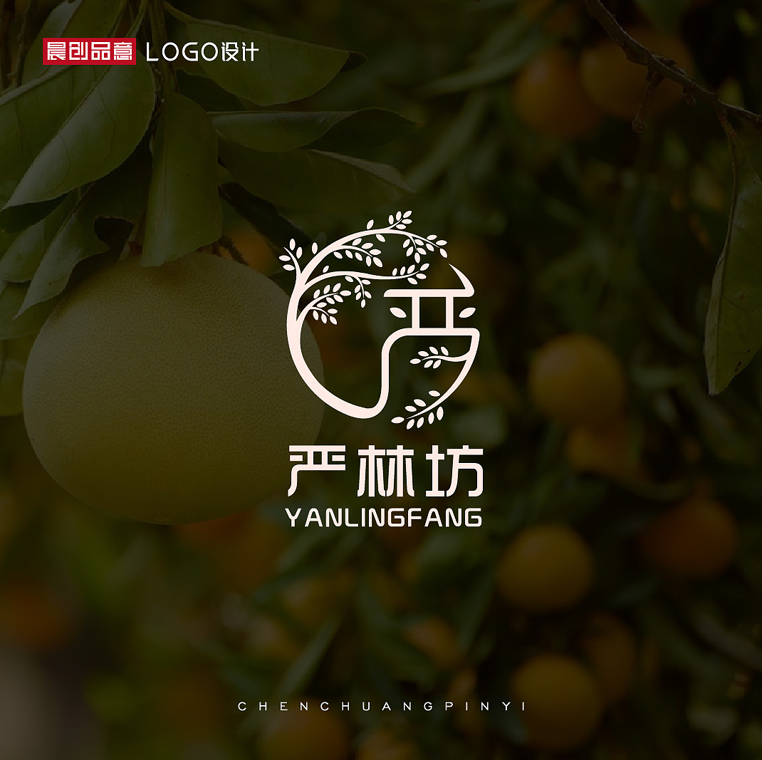 国风创意字体LOGO设计案例展示