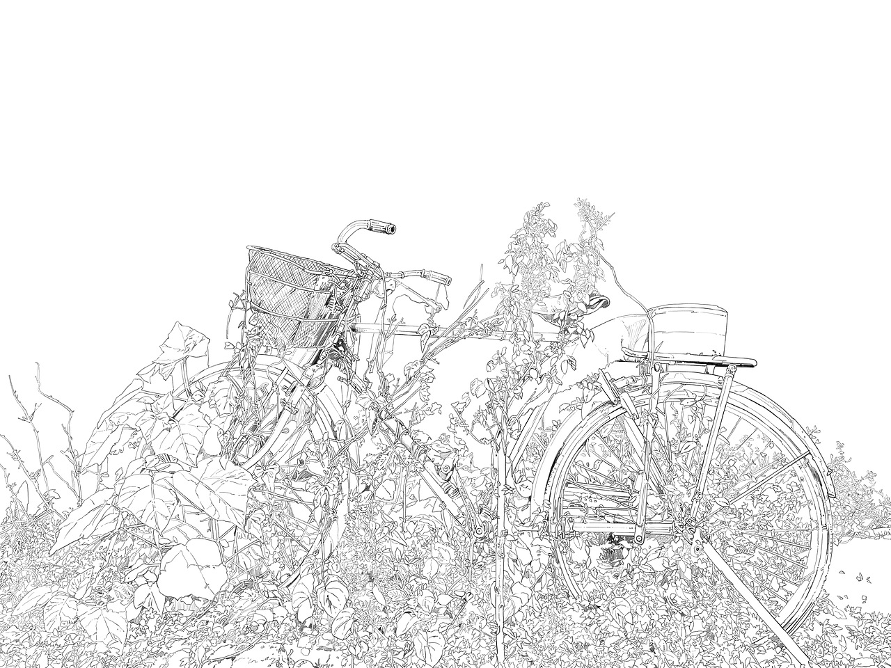 GY【2023-05】（图ZMzQxNzAzMzA0） - 创作习作 - 站酷设计师GuangYuanYU原创素材 - 站酷ZCOOL