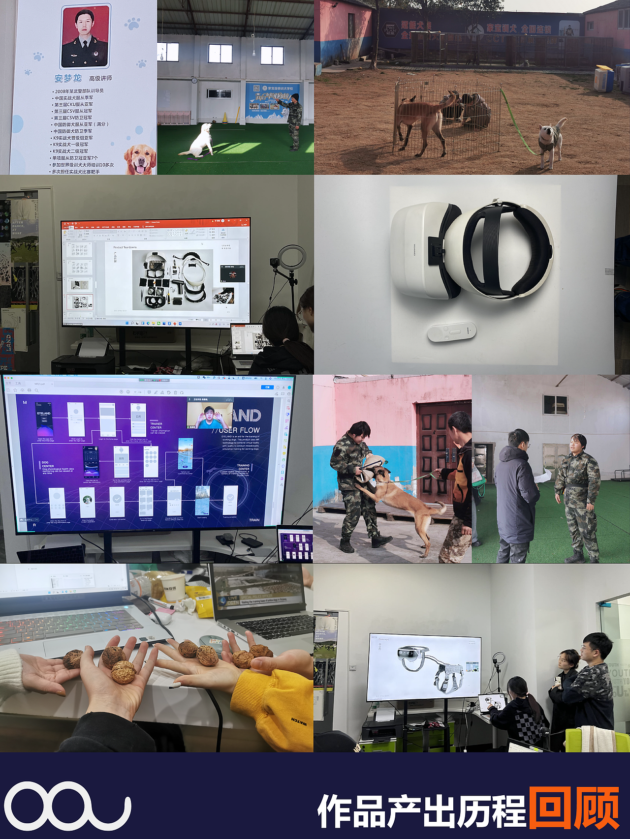 工作犬MR辅助训练设备