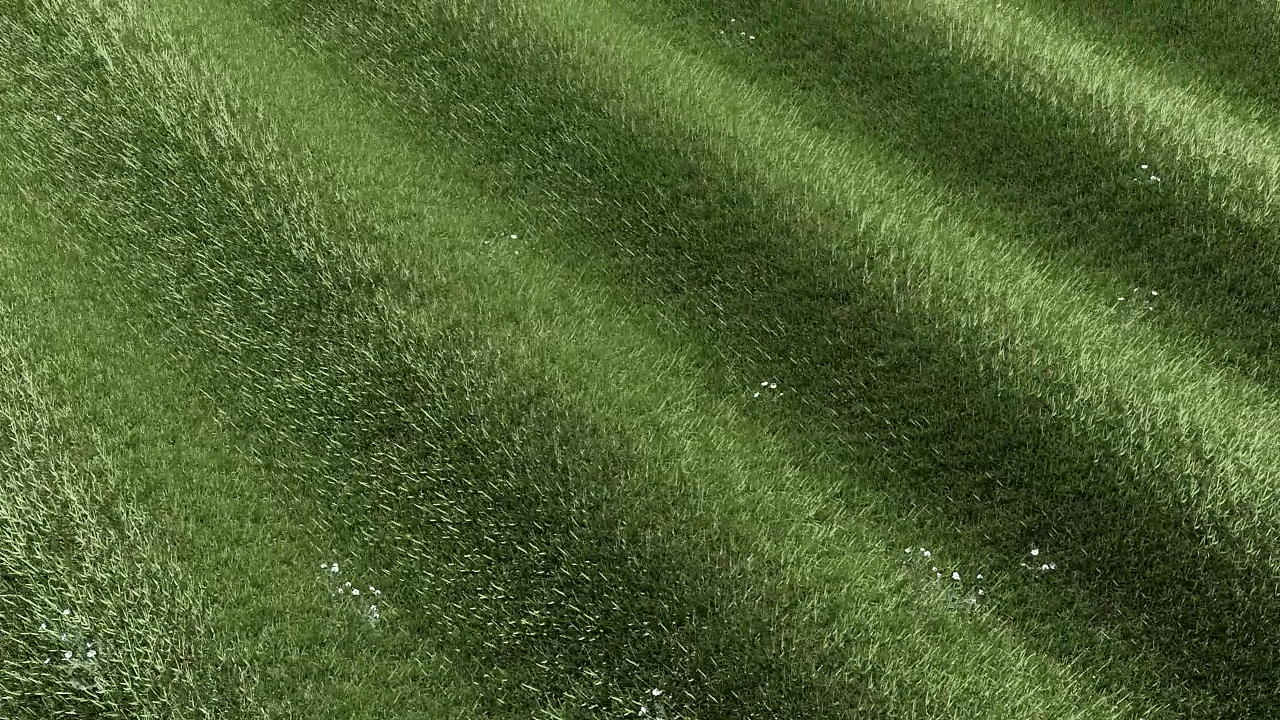 Nudient Bold-手机壳(产品动画)