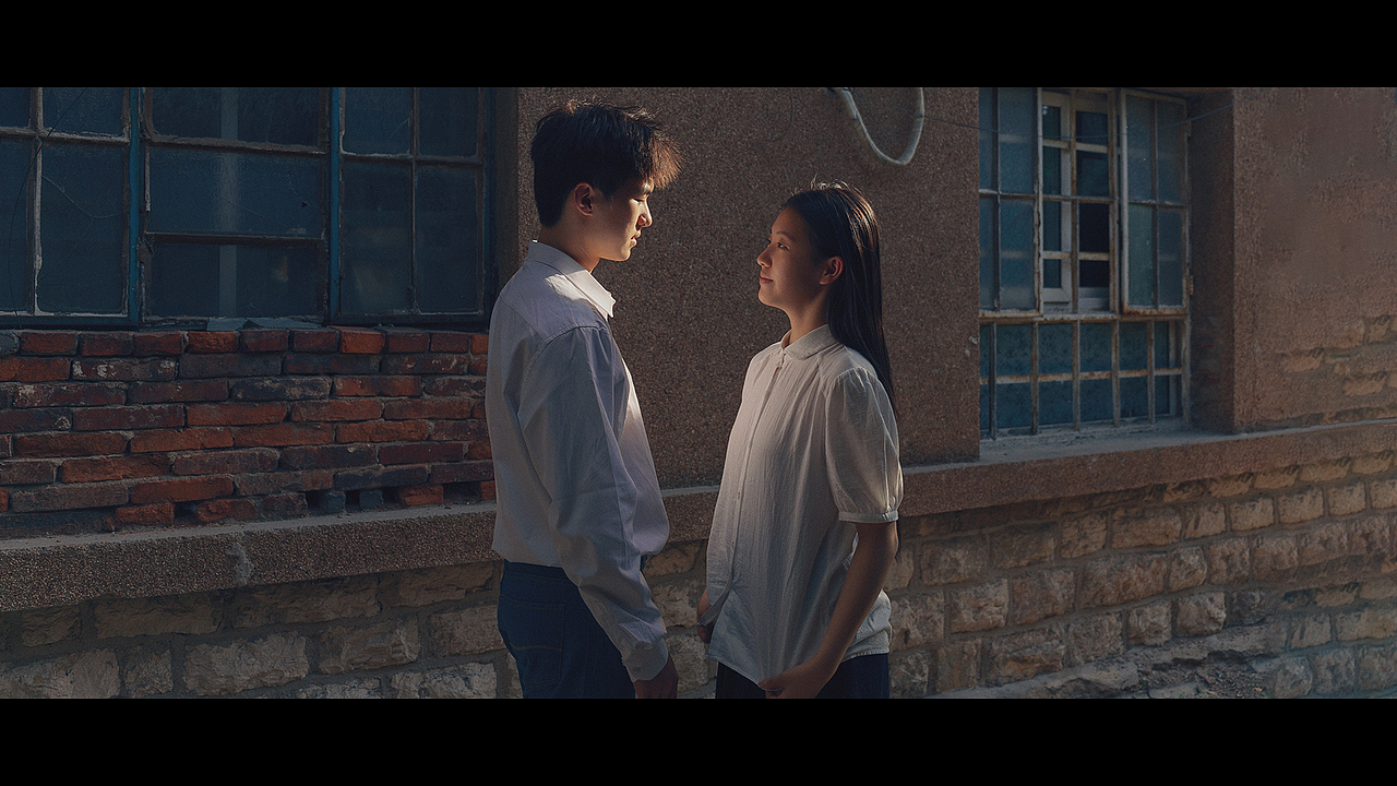 春风十里燕双飞