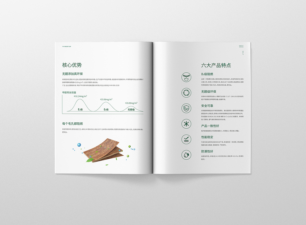 千年舟集团旗下品牌澳斯柏恩品牌画册